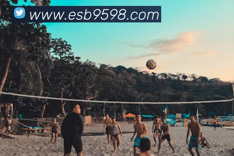 esball易世博全站App